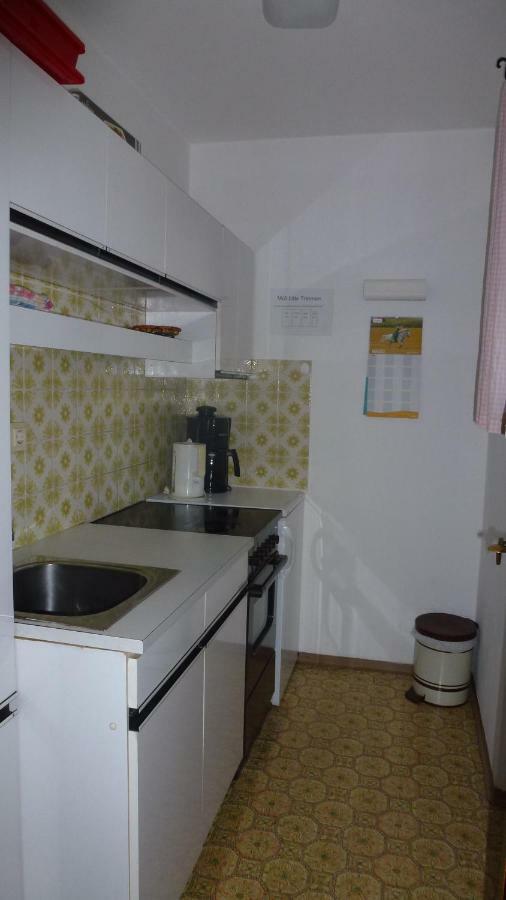 Apartement Hasenauer Fieberbrunn Extérieur photo